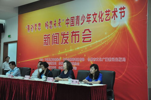 2015中國合肥青少年文化藝術節(jié) 文化交流的青春盛宴